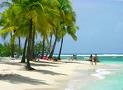 Photo Vakantiewoningen Sainte -anne Coconut's