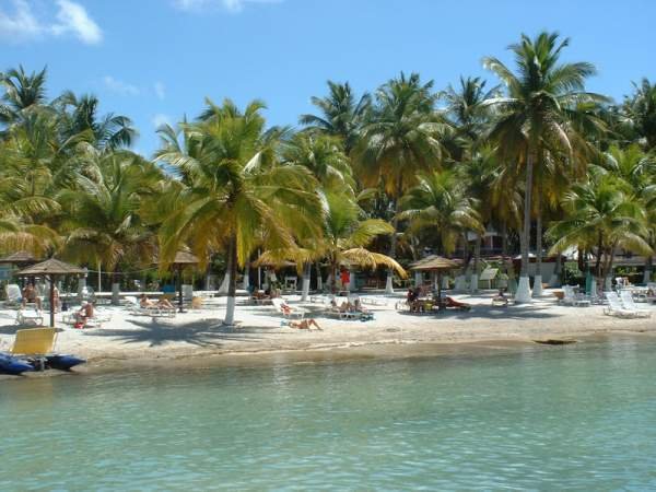 Photo Vakantiewoningen Sainte -anne Location de studios  ste anne en g... 