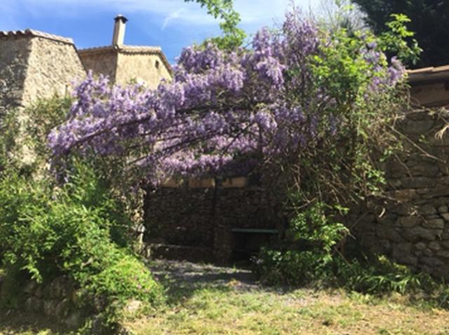 Espace jardi priv - tonnelle + barbecue