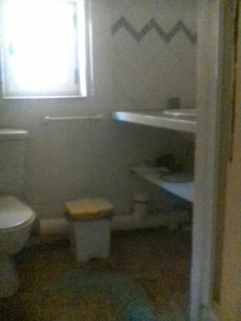 Salle de bain + toilettes