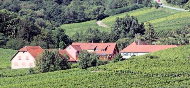 Photo Vakantiewoningen Nothalten Au cep de vigne