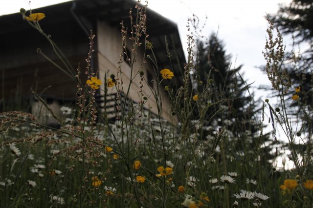 Photo Bed and breakfast Ventron Le chalet de valentine
