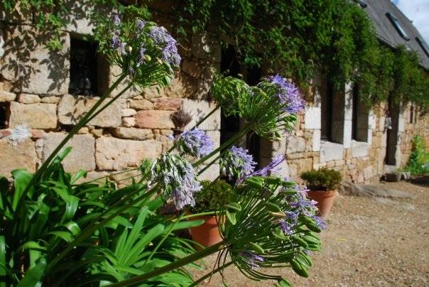 Photo Vakantiewoningen Penvénan Maison tout confort 6/7 personnes,...