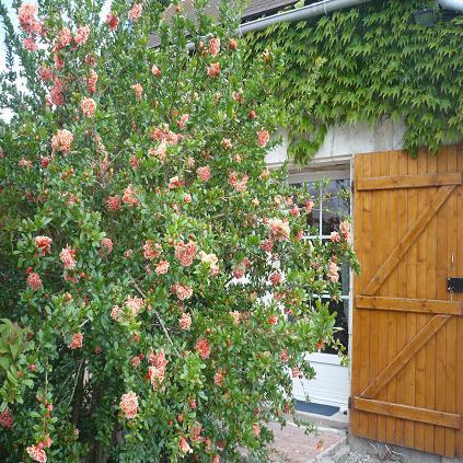Photo Bed and breakfast Chtillon sur indre Chambre d'htes et gte anne-ma... 