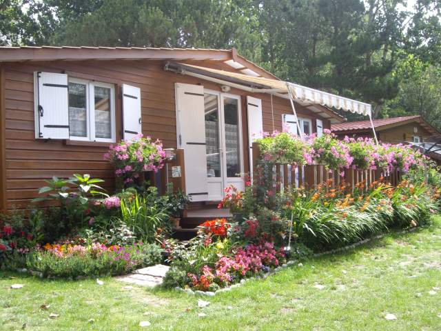 Photo Camping La baule Les ajoncs d'or