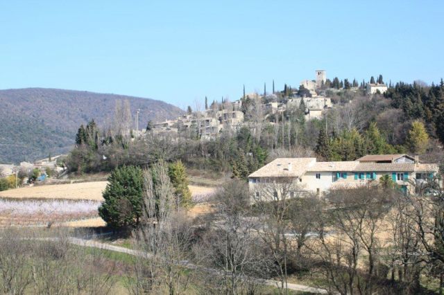 Les vergers de la bouligaire