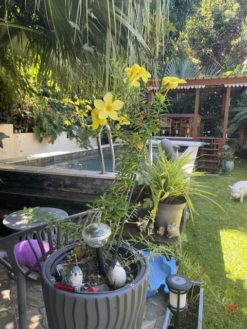 Photo Meubl Sans souci les hauts Chez dolors