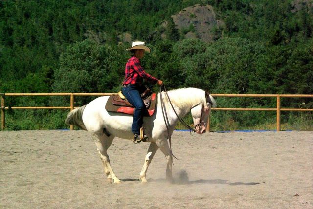 Sur ferme questre: gtes, chambres ... 